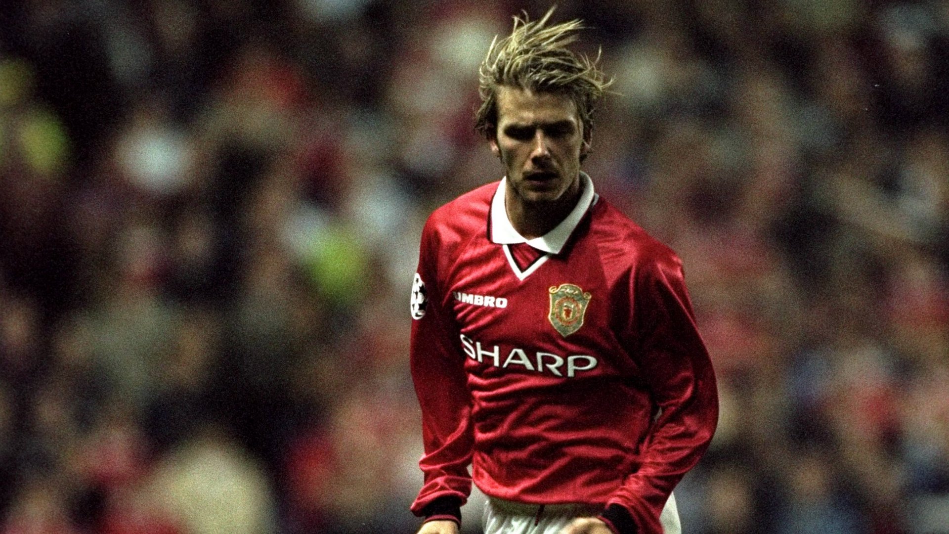 David beckham manchester united